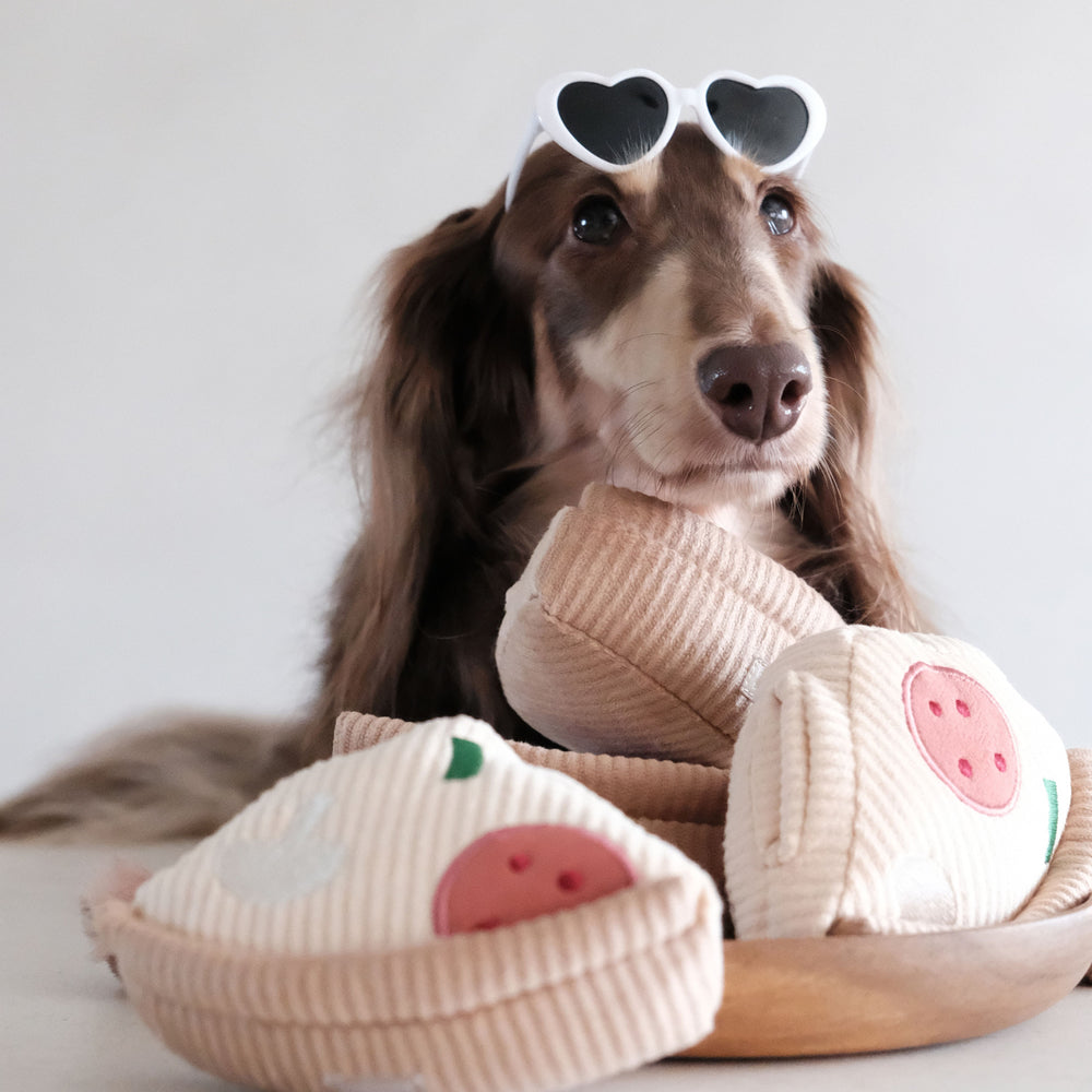 LAMBWOLF PIZZA ENRICHMENT DOG TOY