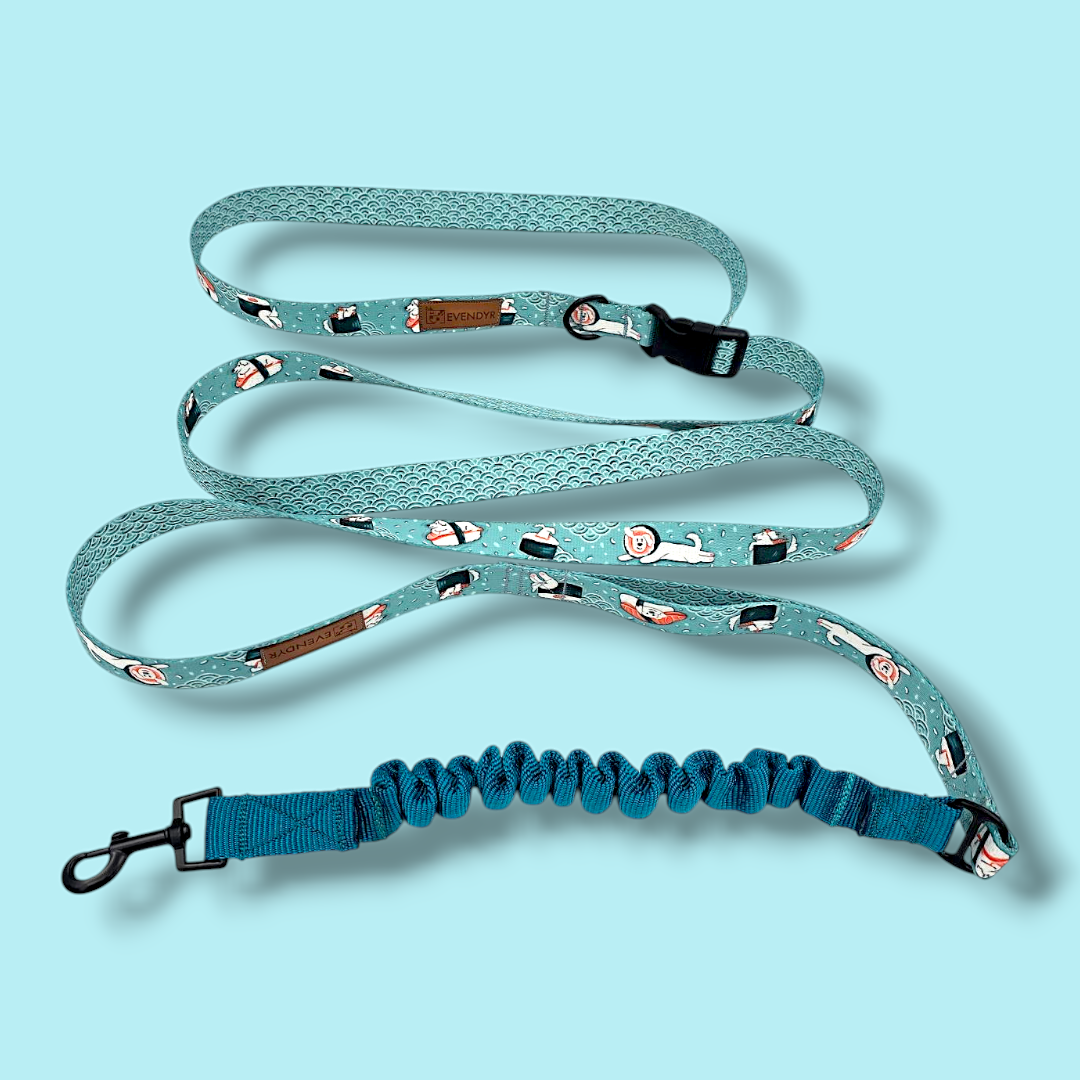 Multifunksjonelle håndfri hundebånd "Velg en laks!"