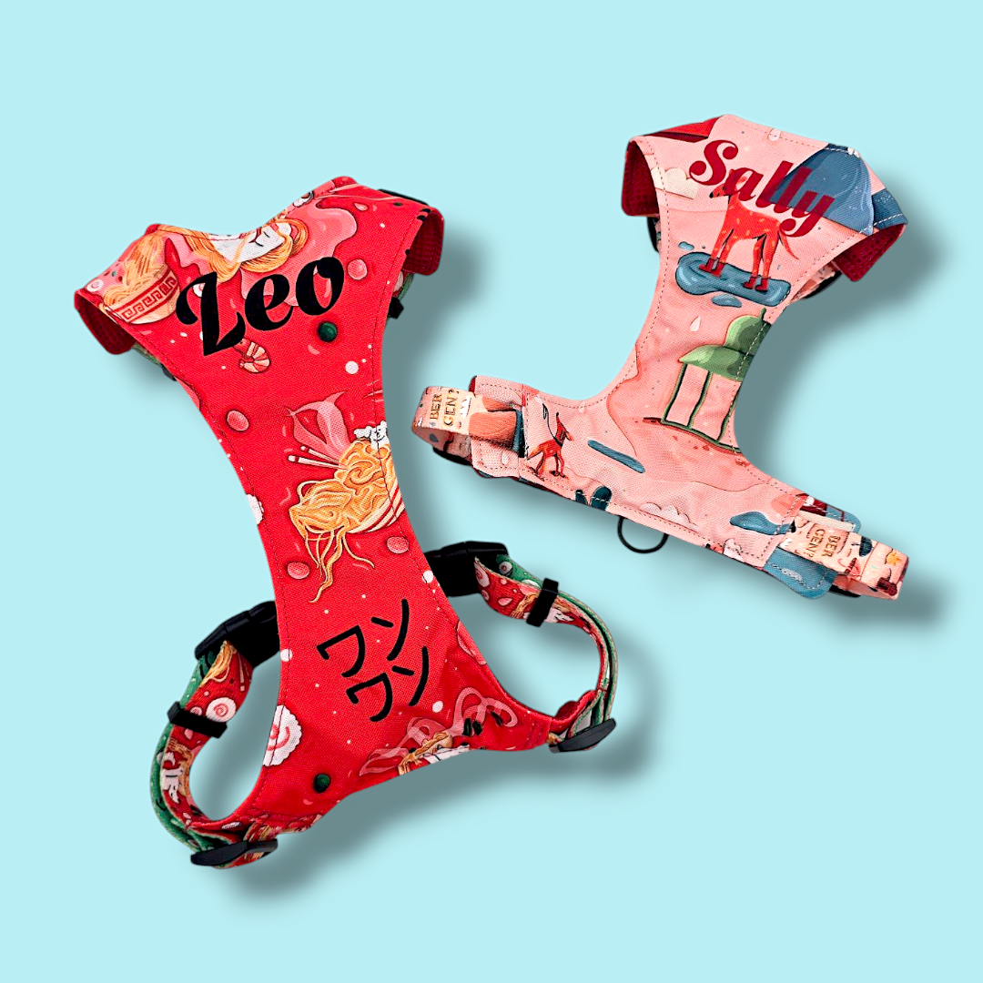 Pressure-free harness Evendyr COMFORT „Velg en laks!" Basis