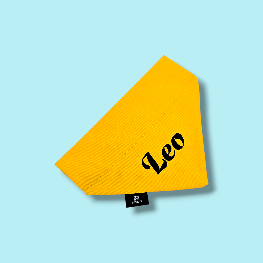 Dog bandana „Liker du ikke taco?”
