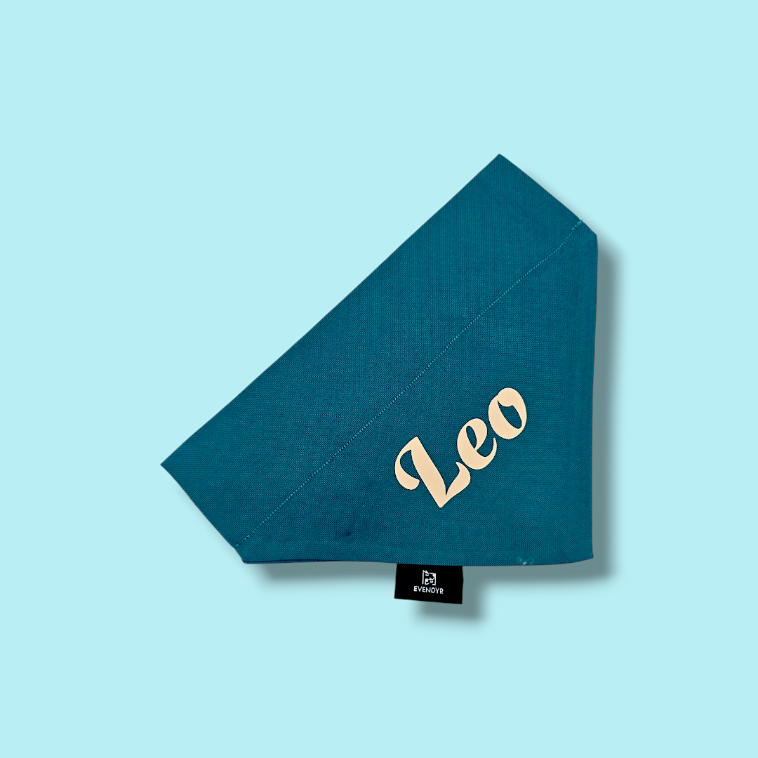 Hundebandana  „Velg en laks!”