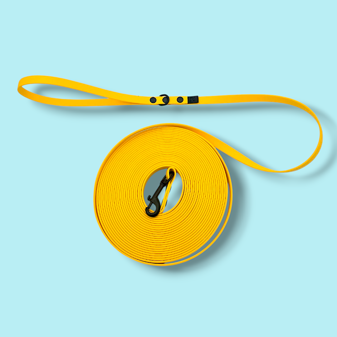 Long training leash BIOTHANE® „Classic Red"