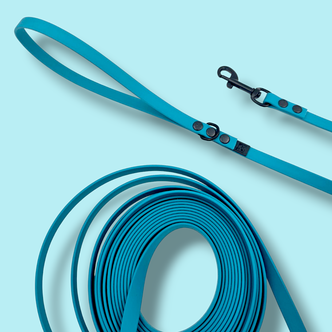 Long training leash BIOTHANE® „Dream Pink”
