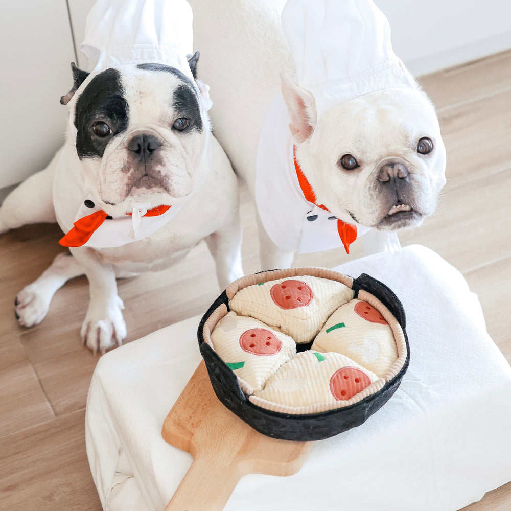 LAMBWOLF PIZZA ENRICHMENT DOG TOY