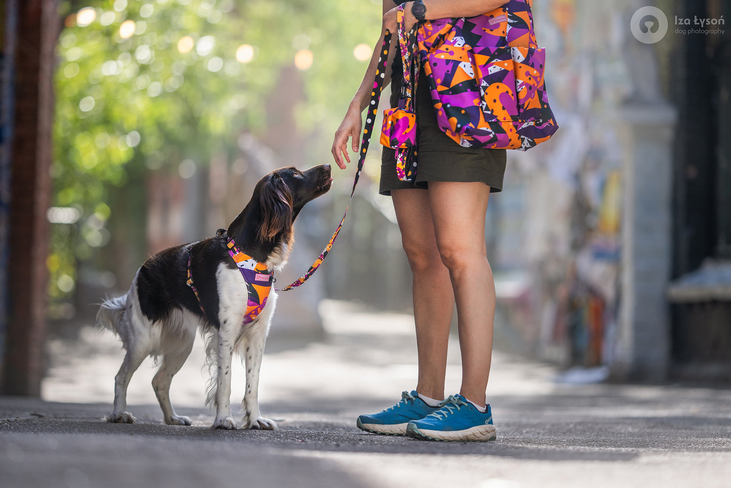 Bybånd „CROC(s)ODILE"