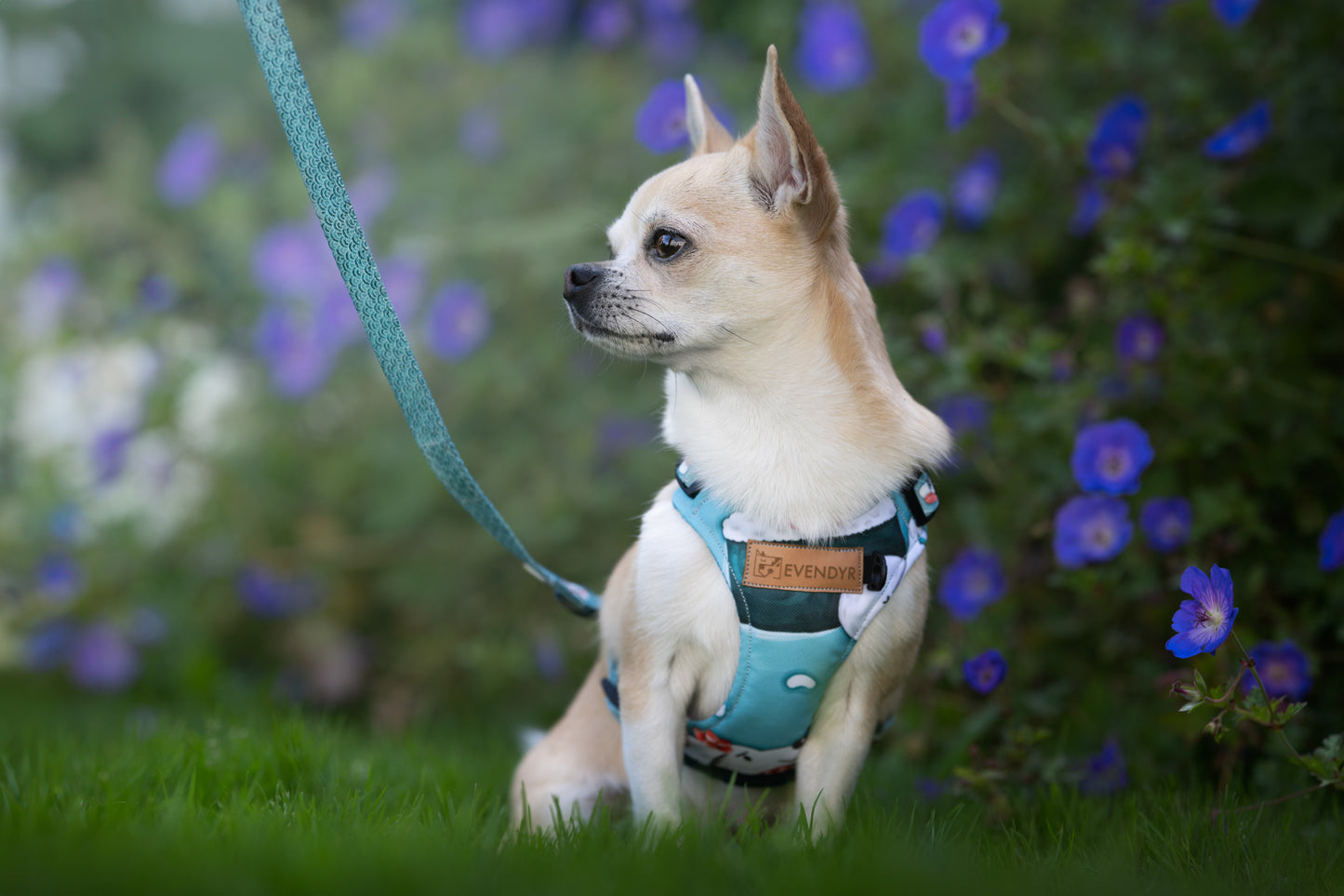 Soft sele Evendyr KOMFORT „Velg en laks!"