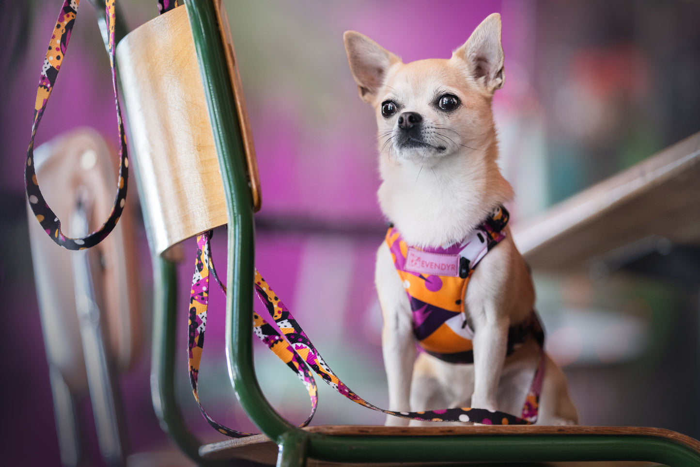 Bybånd „CROC(s)ODILE"