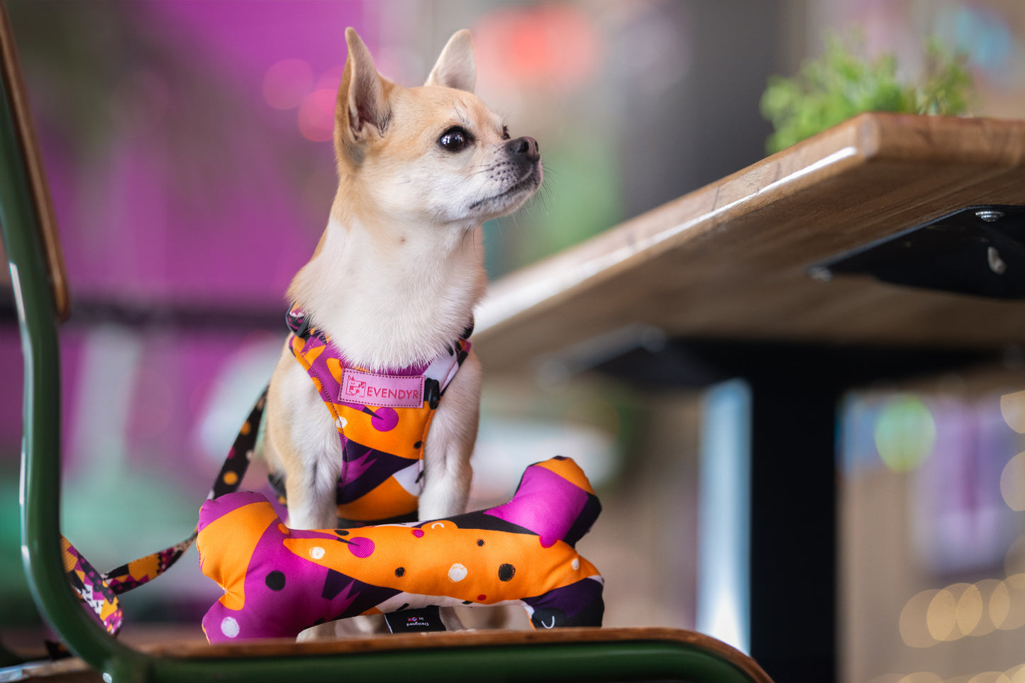 Dog toy „CROC(s)ODILE"