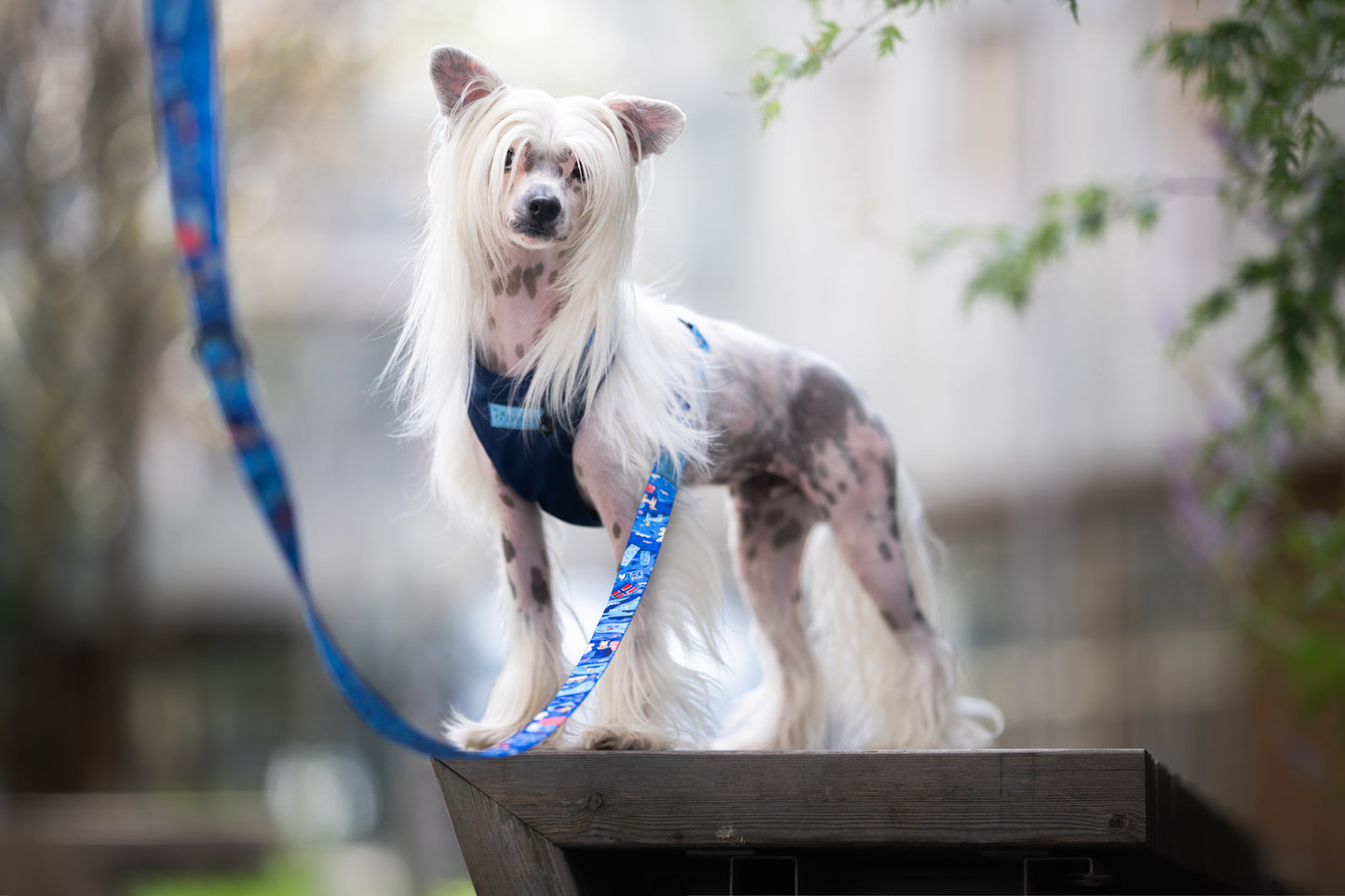 Bybånd „Visit Oslo"