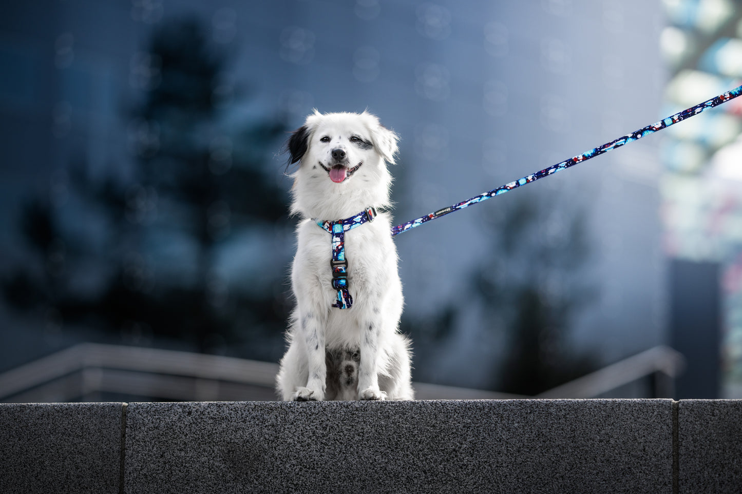 Guards dog harness „Aurora Polarbears"
