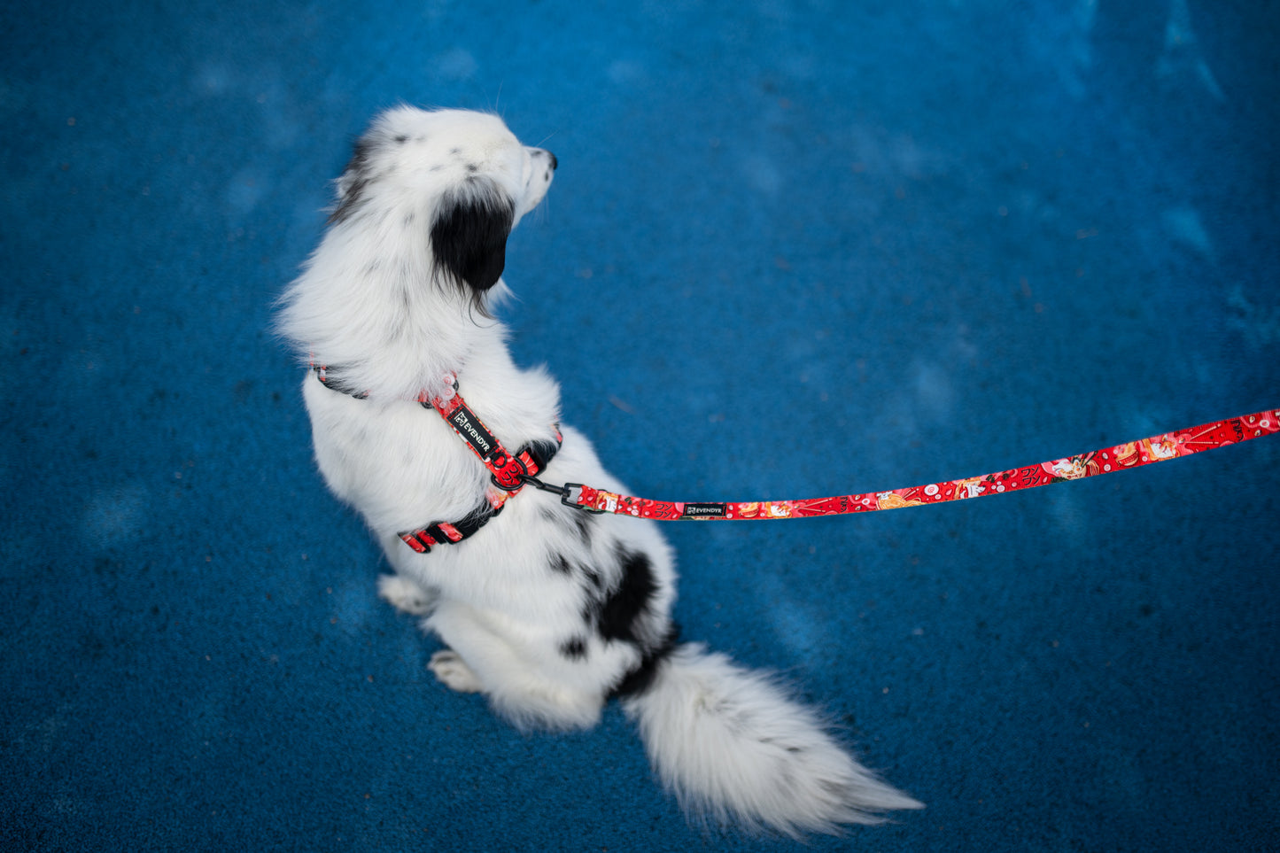 Guards dog harness „Dogyo"