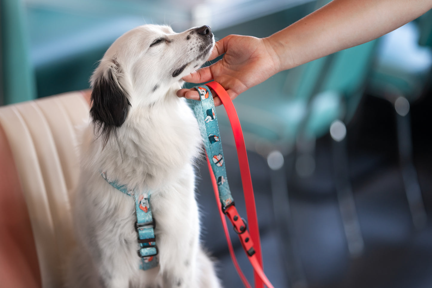 DUO Biothane® city leash