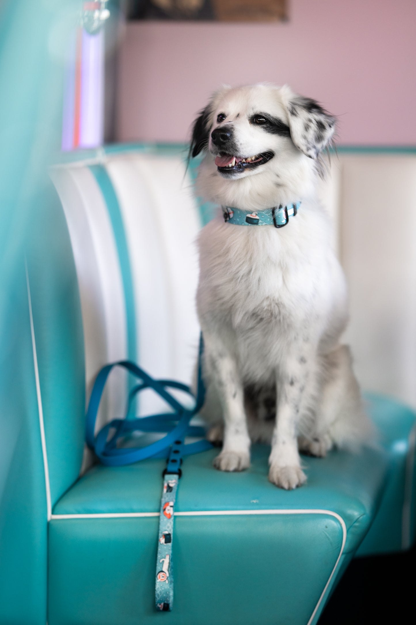 DUO Biothane® city leash