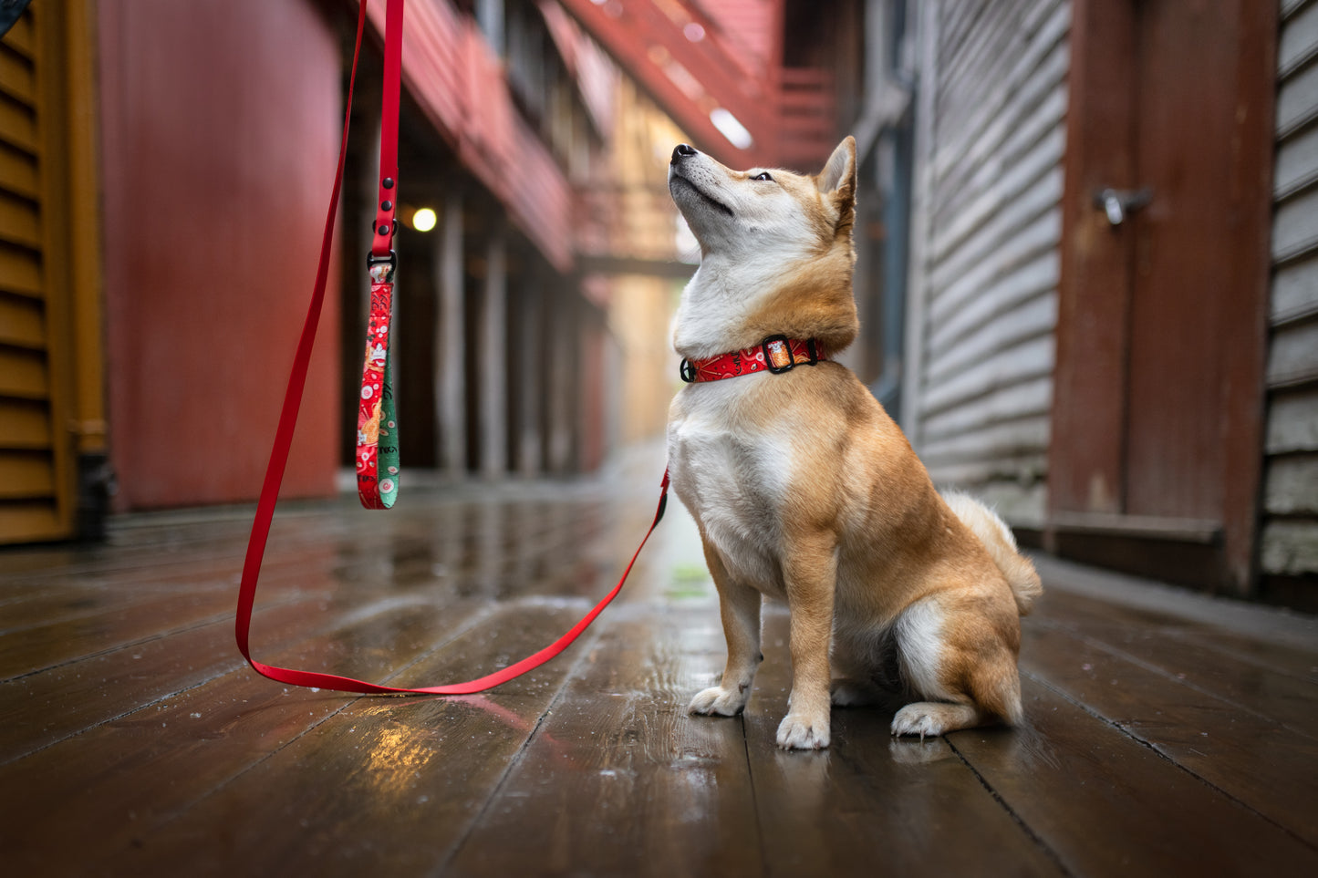 DUO Biothane® city leash
