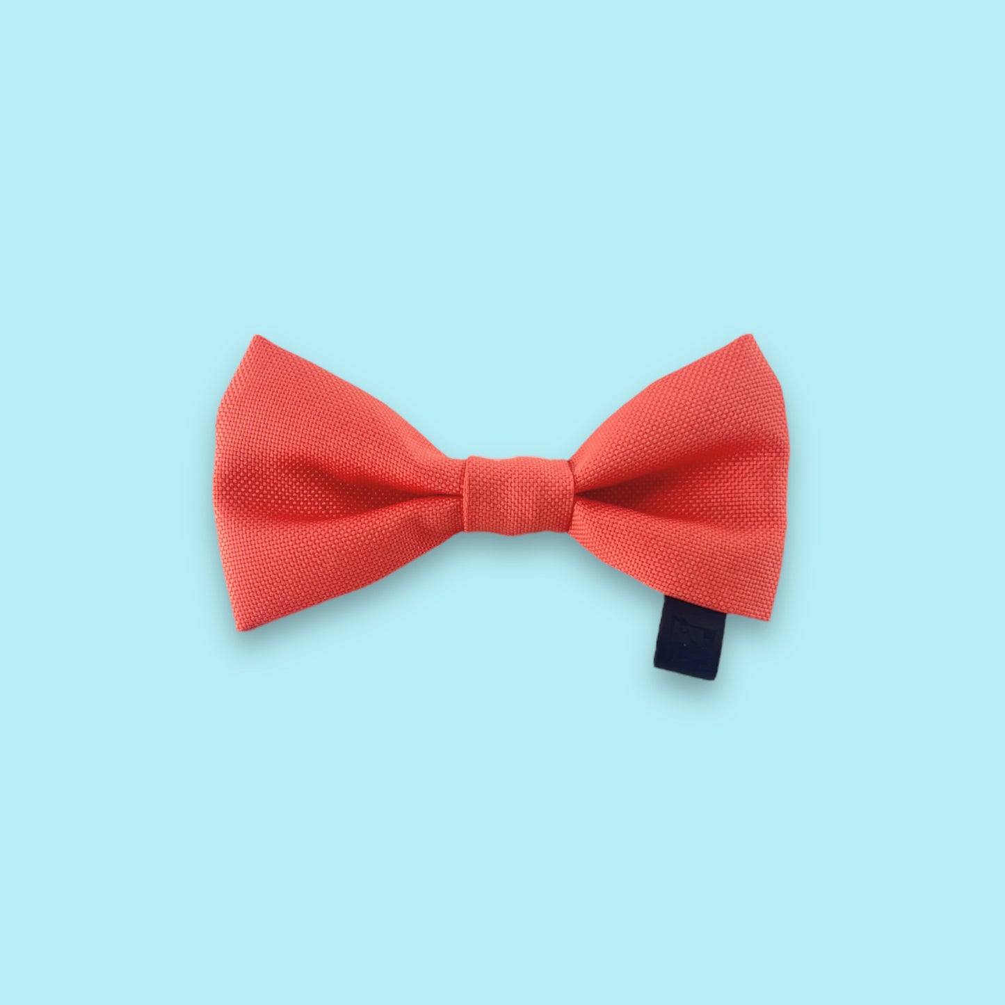 Dog bow „Coral”