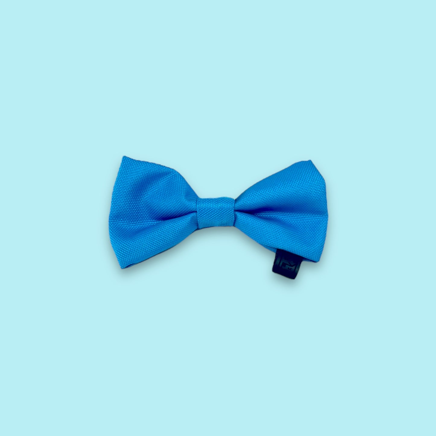 Dog bow „Evendyrs Farge”