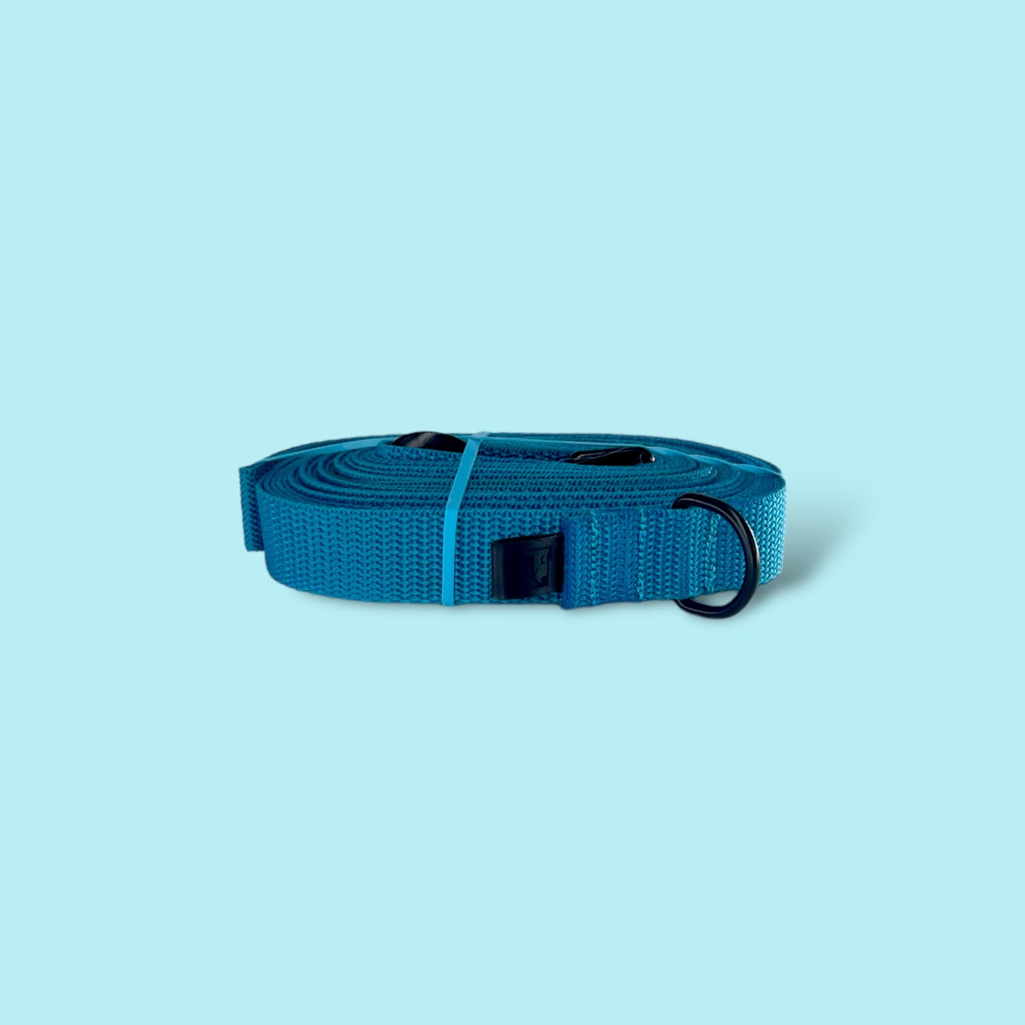 Lightweight training leash „Lagune”
