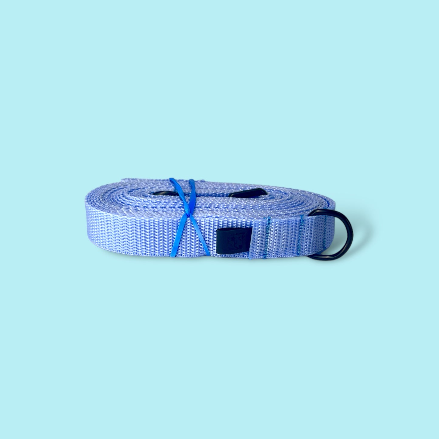 Lightweight training leash „Sky”