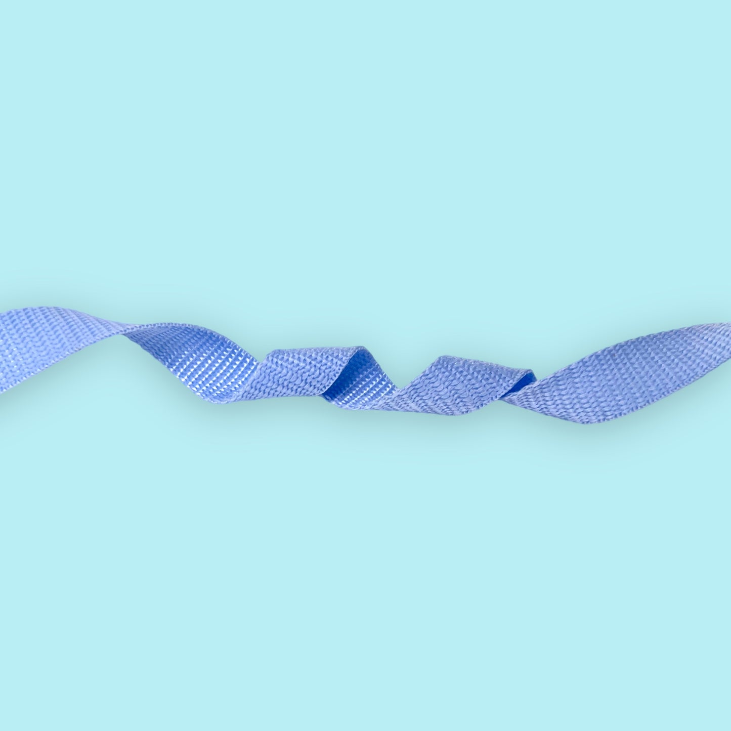 Lightweight training leash „Sky”