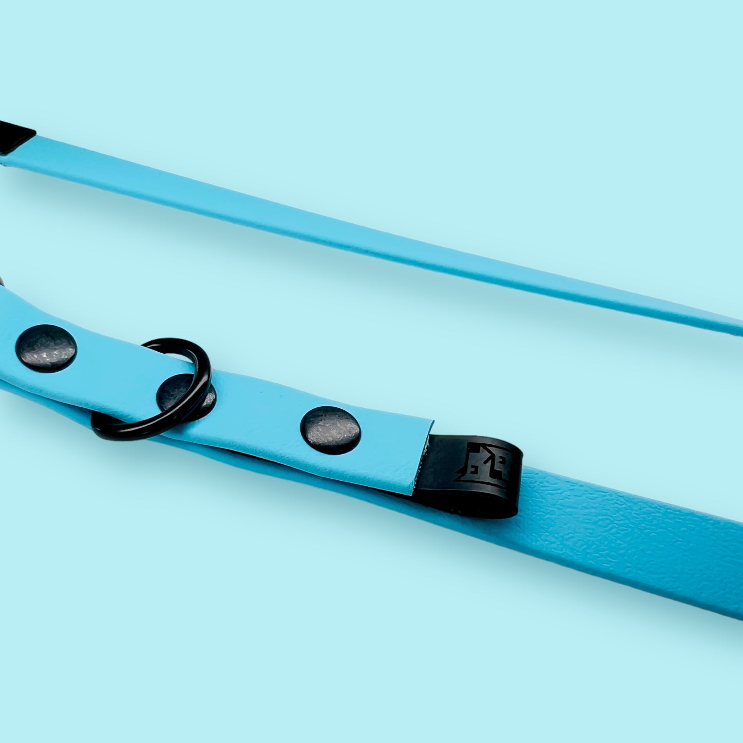 DUO Biothane® city leash