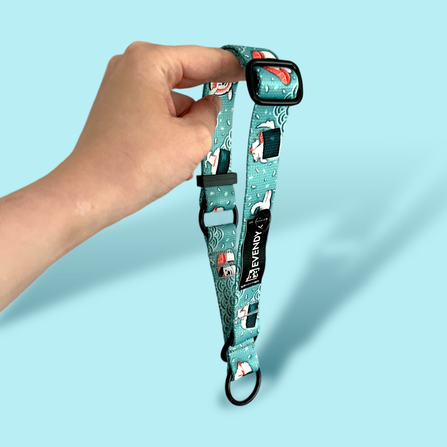 Half-choke dog collar „Velg en laks!"