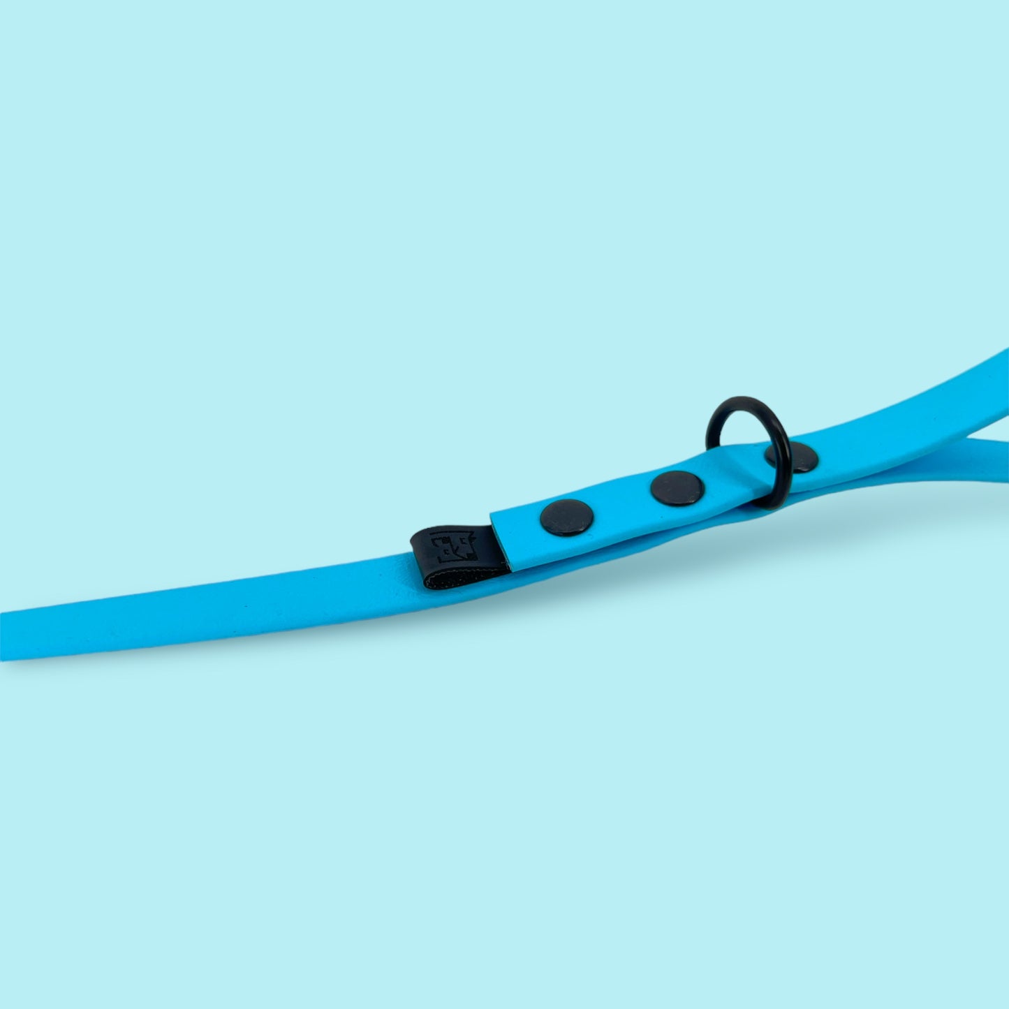 Dog leash BIOTHANE® „Baby Blue"