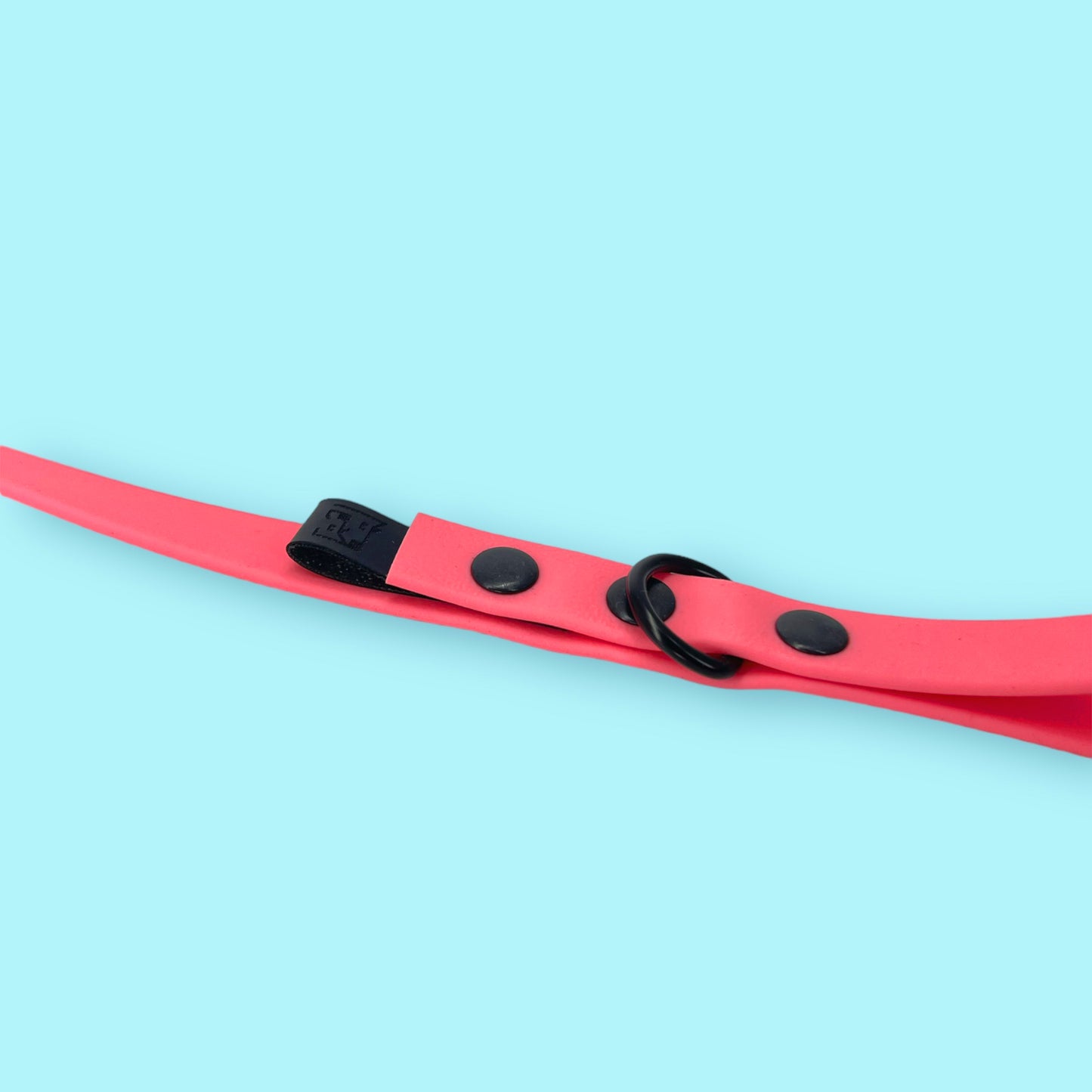 Dog leash BIOTHANE® „Coral"
