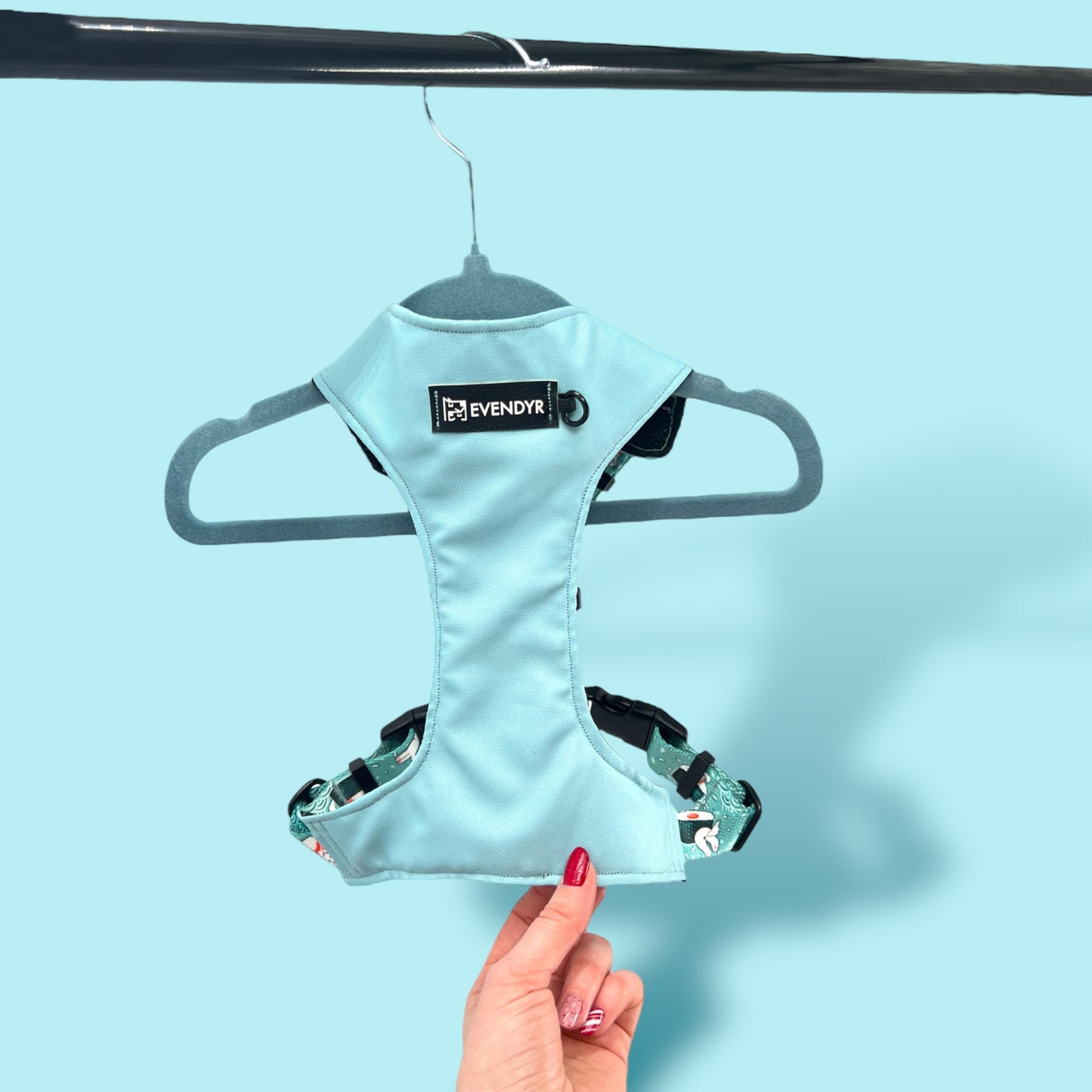 Pressure-free harness Evendyr COMFORT „Velg en laks!" Basis