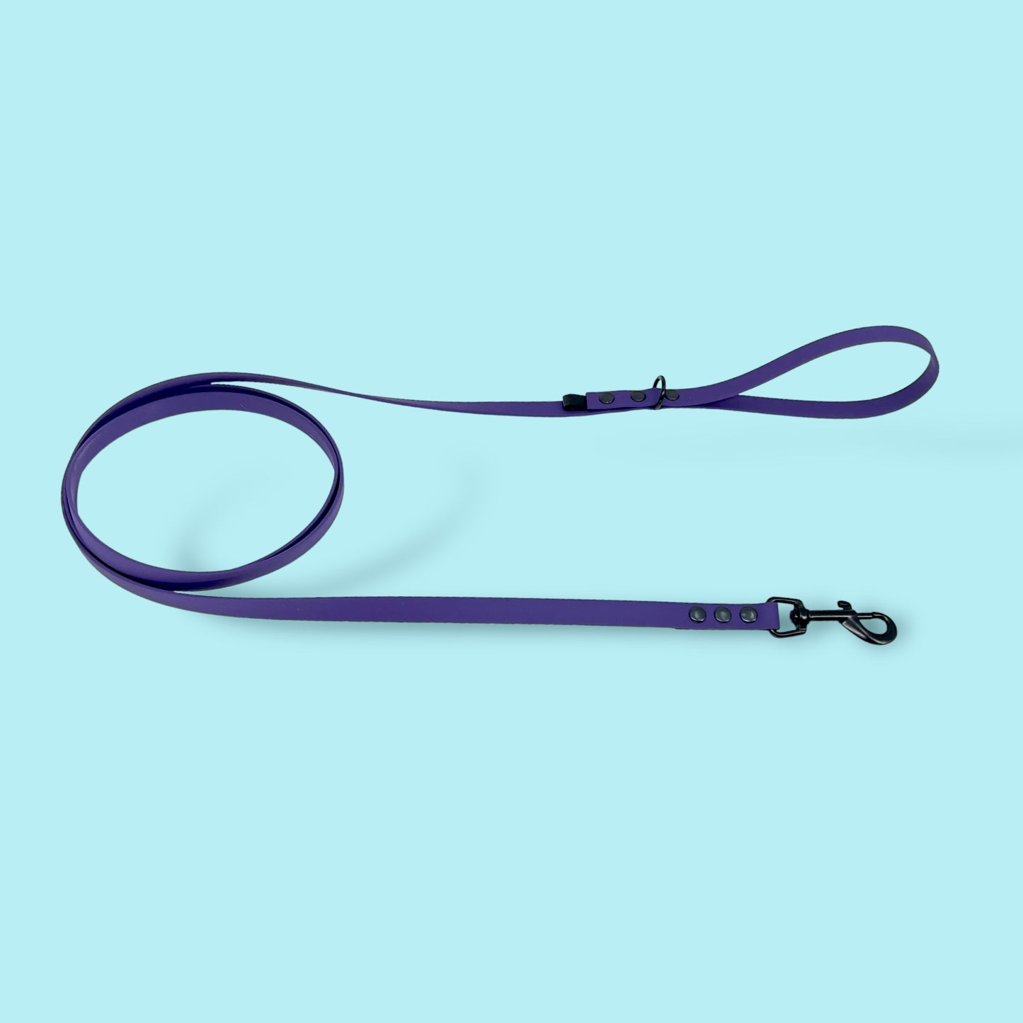 Dog leash BIOTHANE® „Violet"