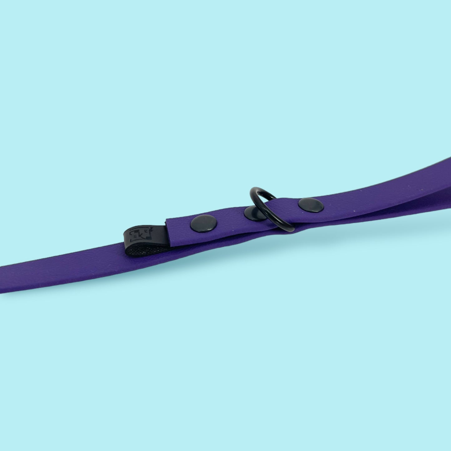 Dog leash BIOTHANE® „Violet"