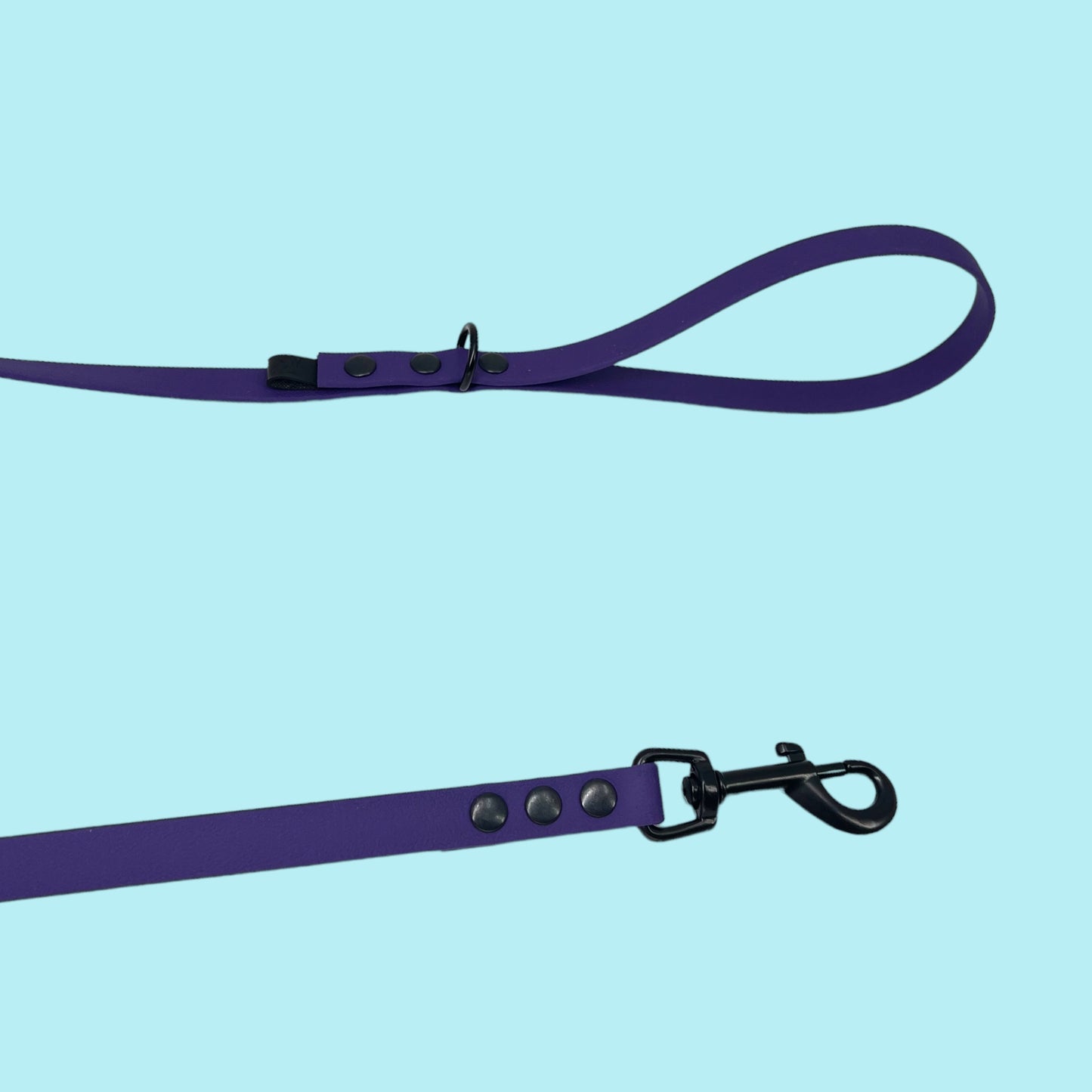Dog leash BIOTHANE® „Violet"