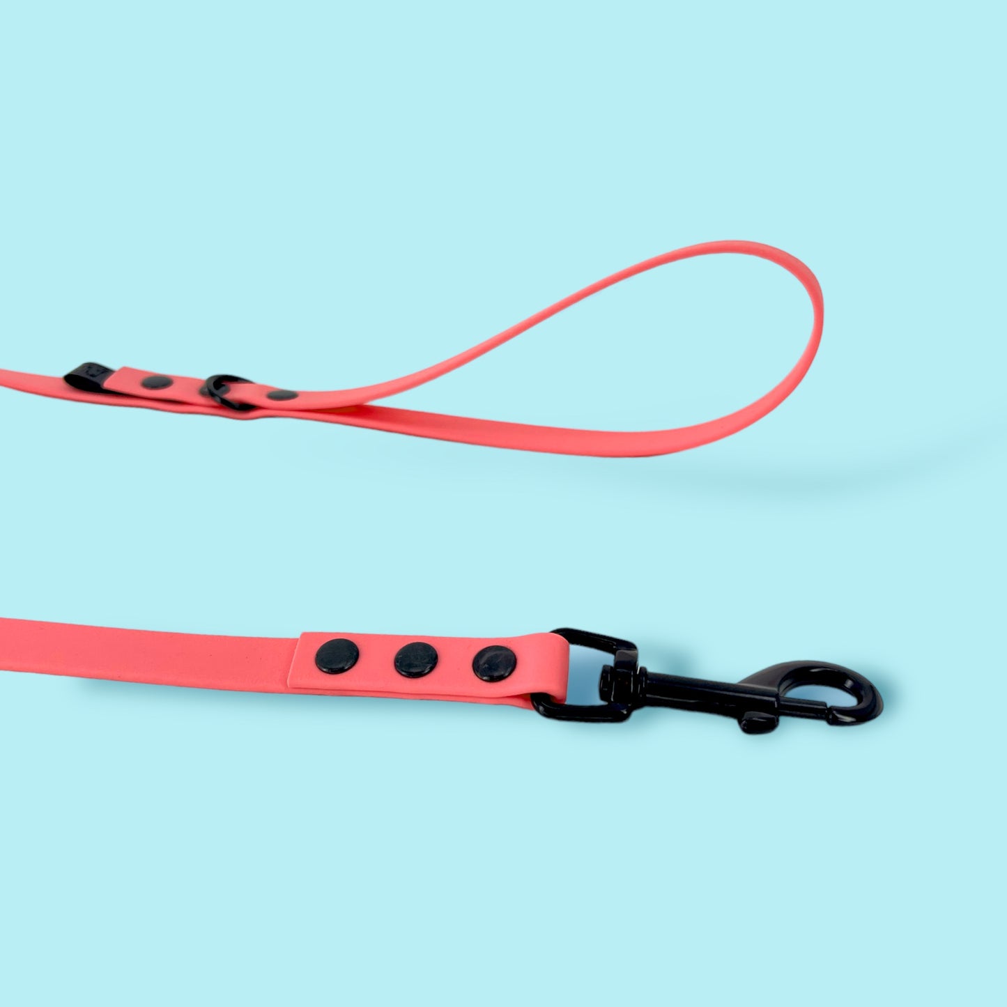 Dog leash BIOTHANE® „Coral"