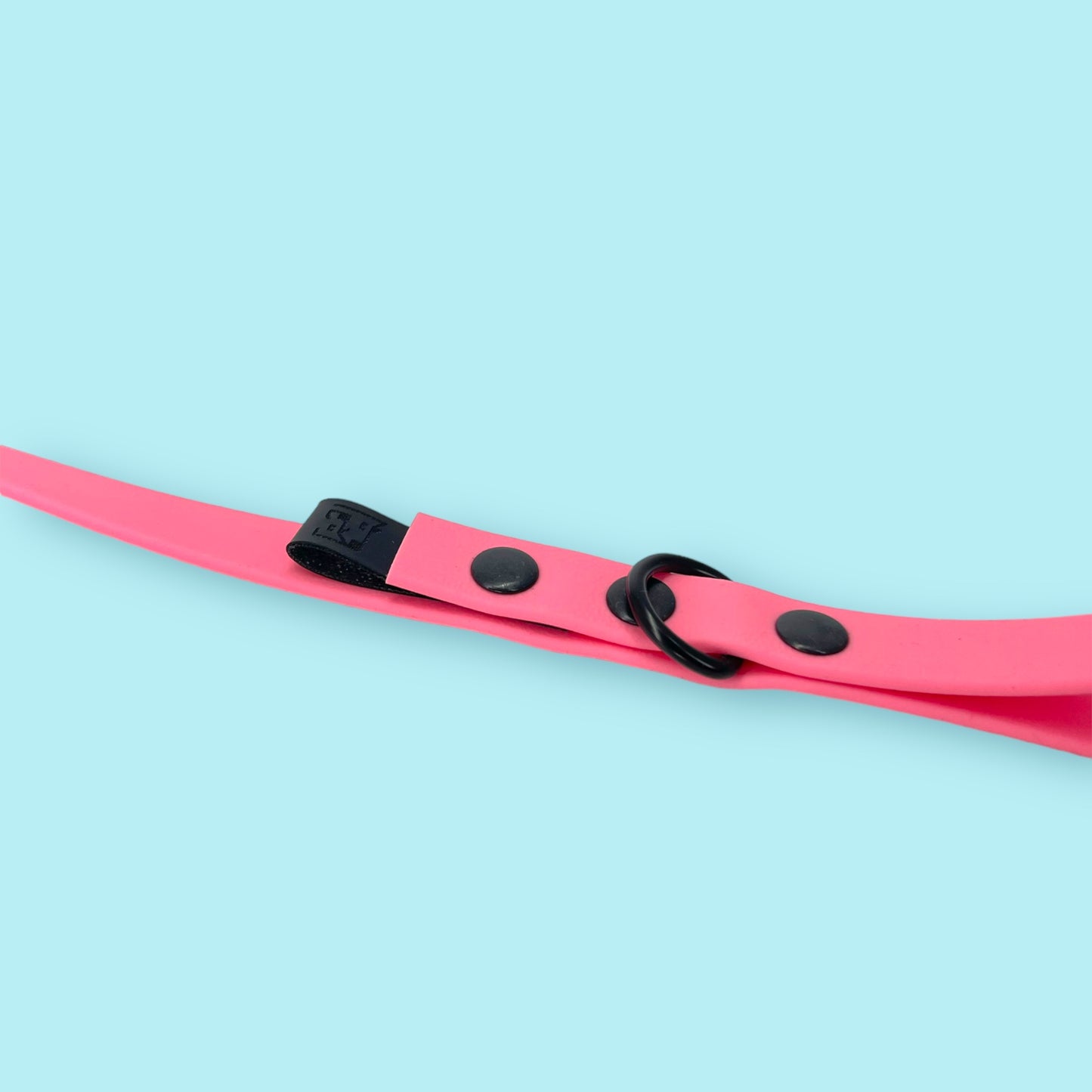 Dog leash BIOTHANE® „Dream Pink"