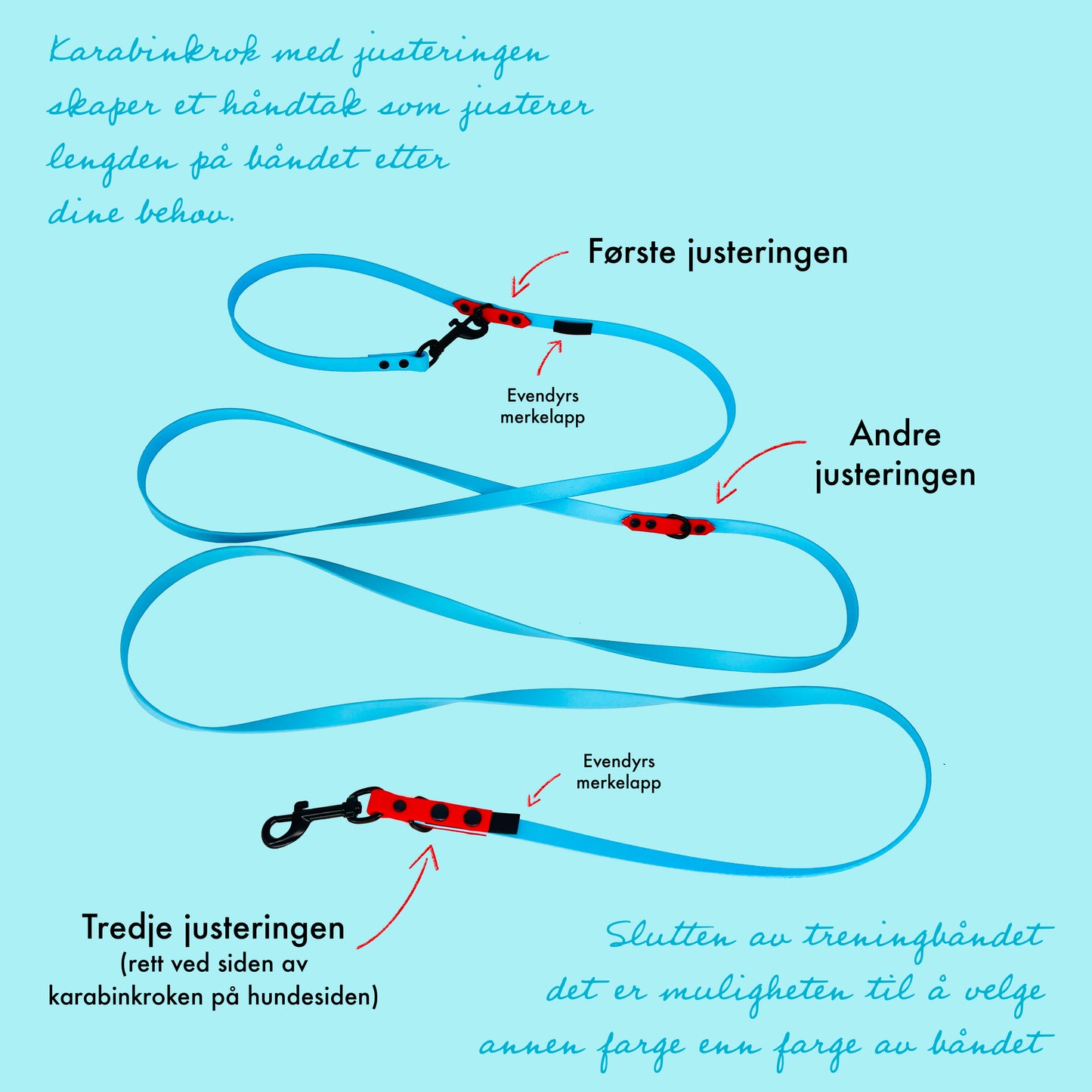 Long training leash Biothane® Color