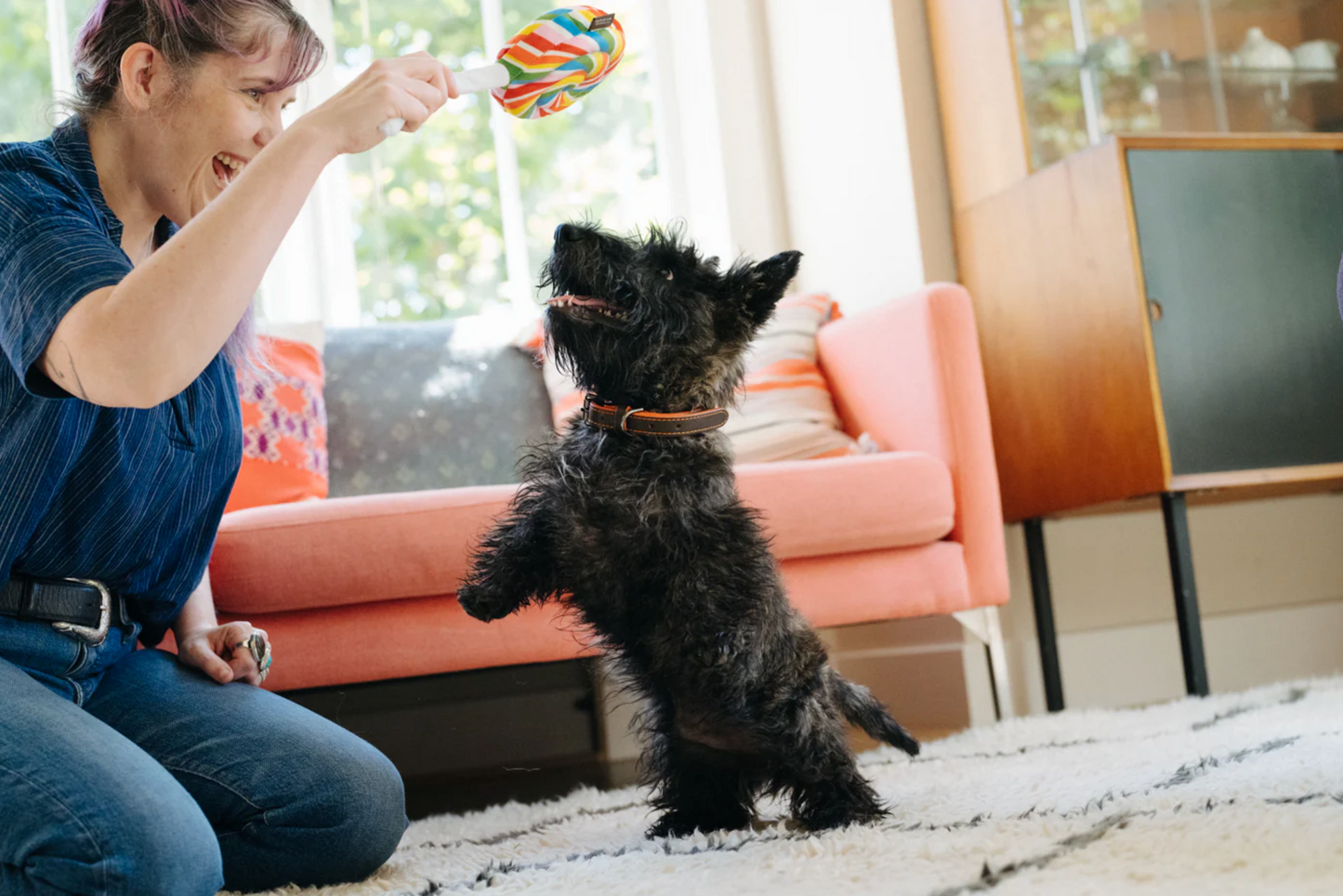 Snack Attack Lollipup