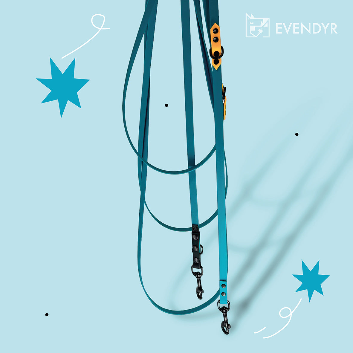 Long training leash Biothane® Color