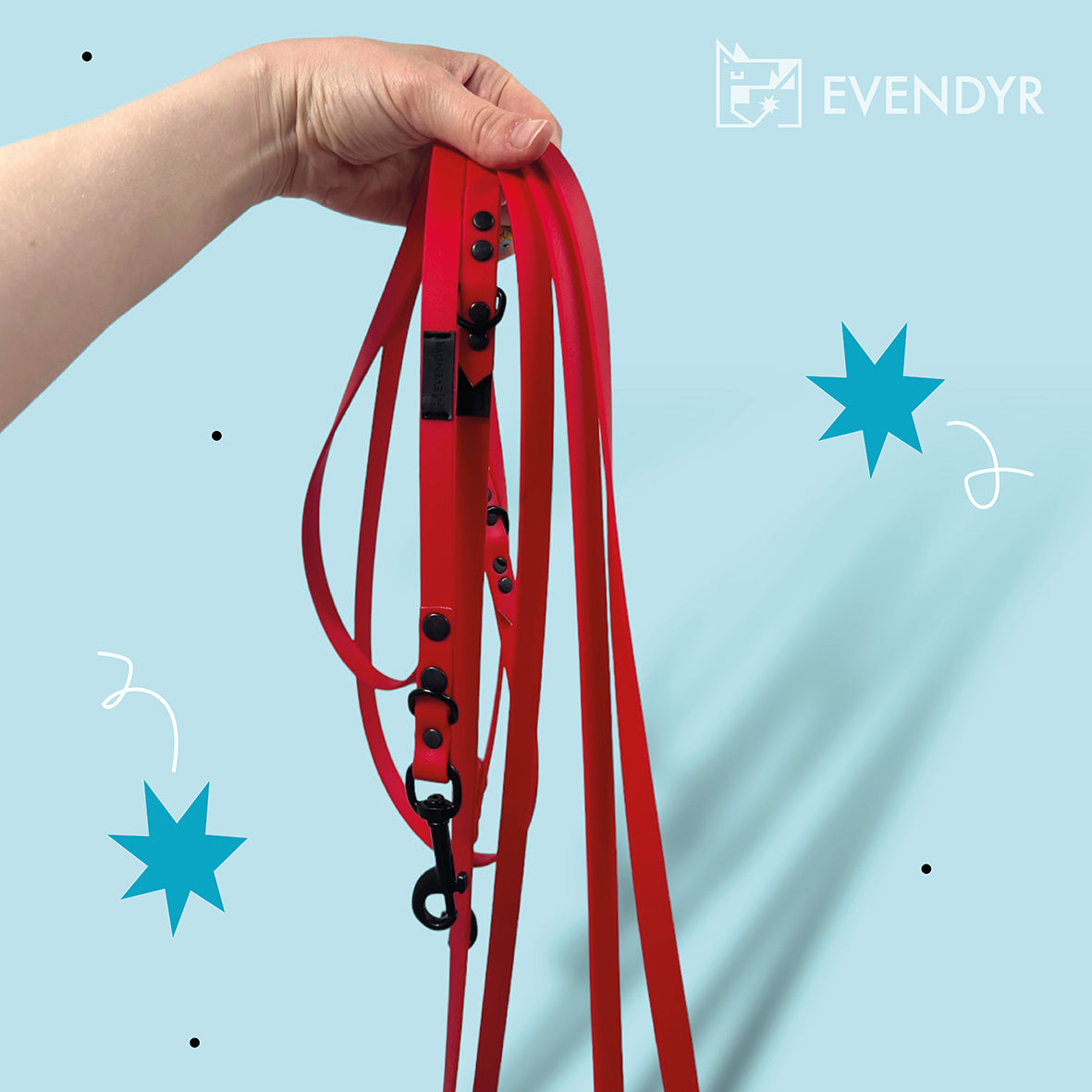 Long training leash Biothane® Color
