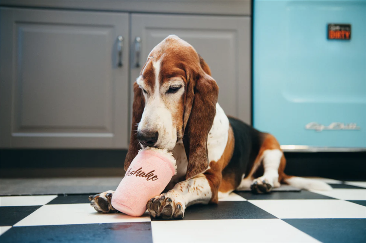 American Classic Mutts Milkshake