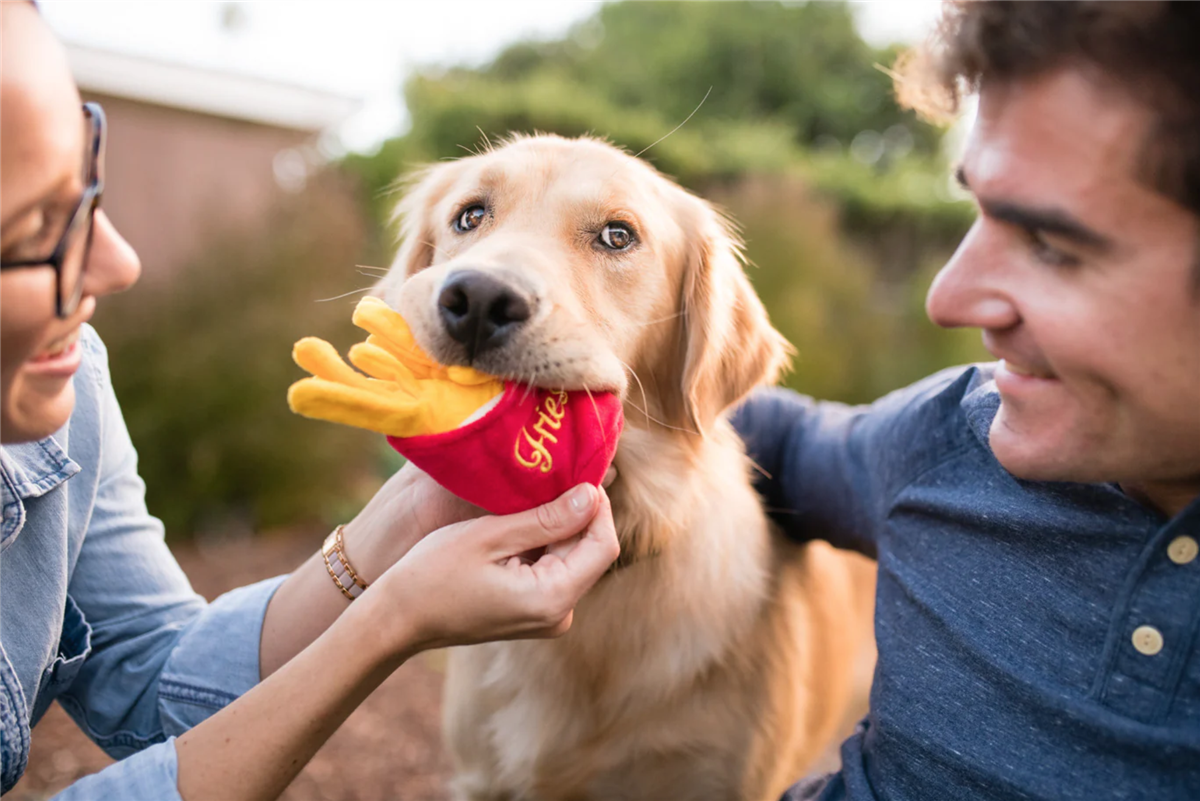 American Classic Frenchie Fries XS 3i1 leke