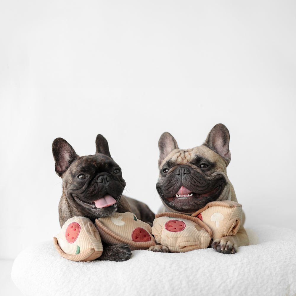 LAMBWOLF PIZZA ENRICHMENT DOG TOY