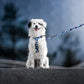 Y-hundesele „Aurora Polarbears”