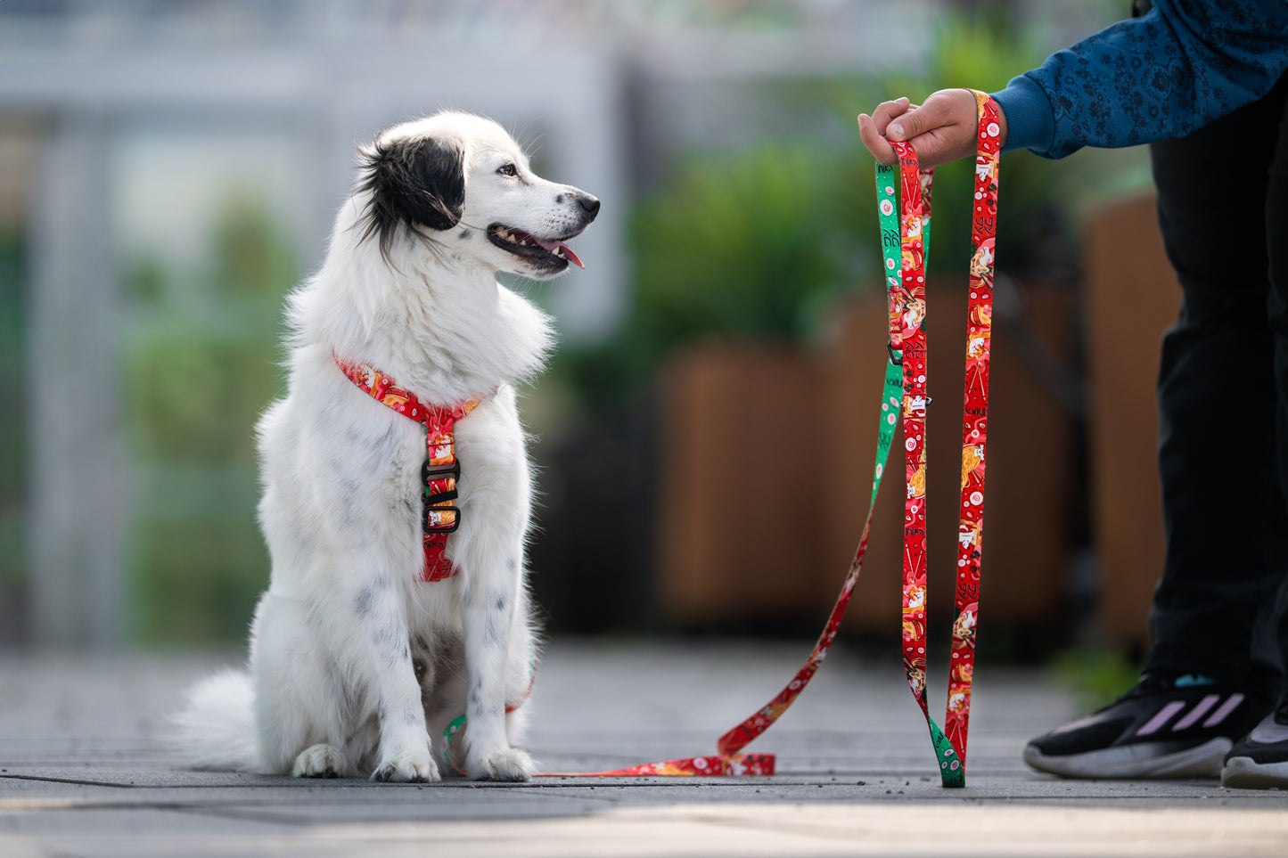 Guards dog harness „Dogyo"