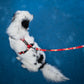 Guards dog harness „Dogyo"