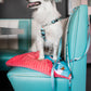 Y-hundesele „Velg en laks!”