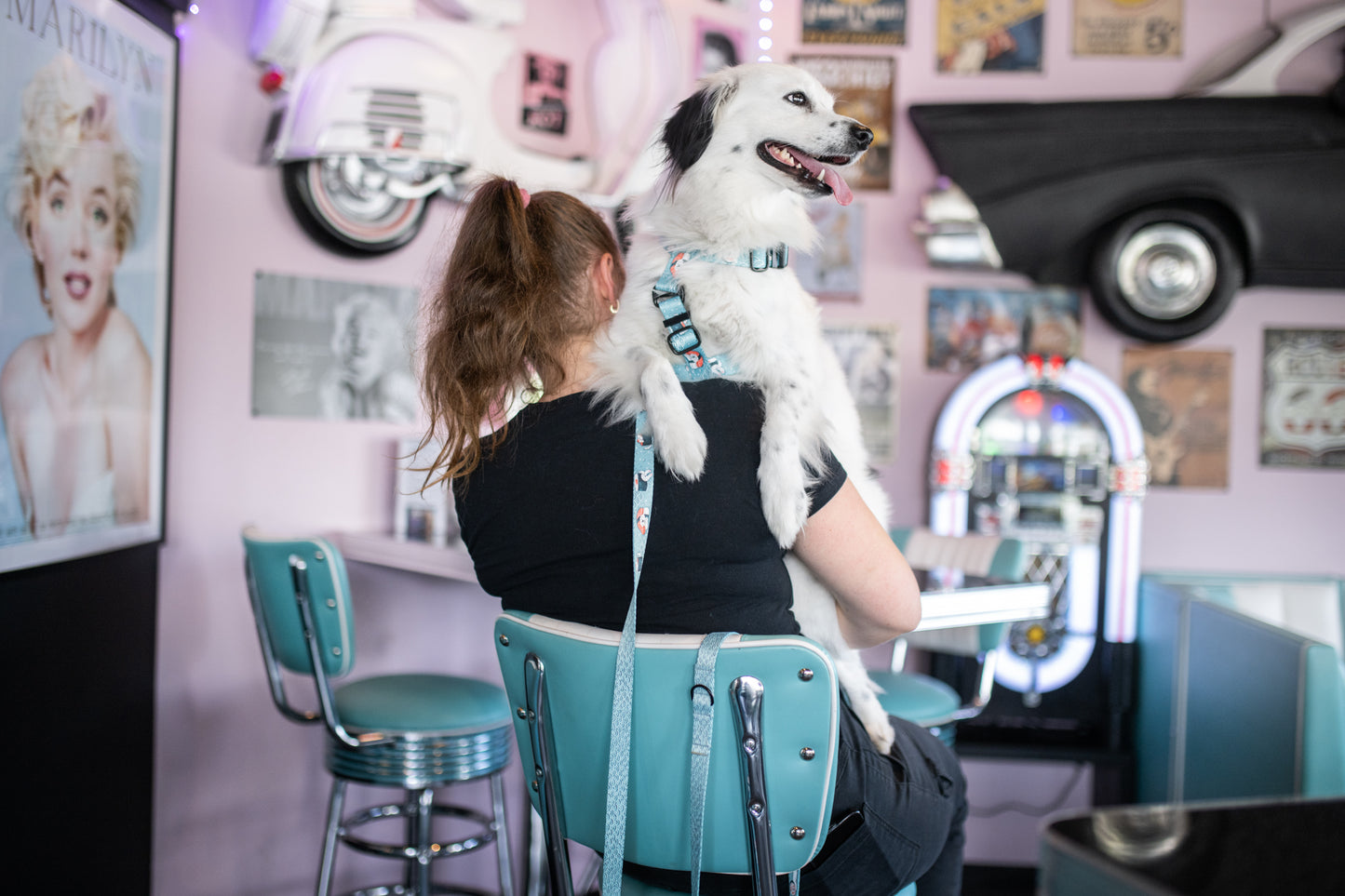 Y-hundesele „Velg en laks!”