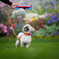 Dog bow „Liker du ikke taco?”