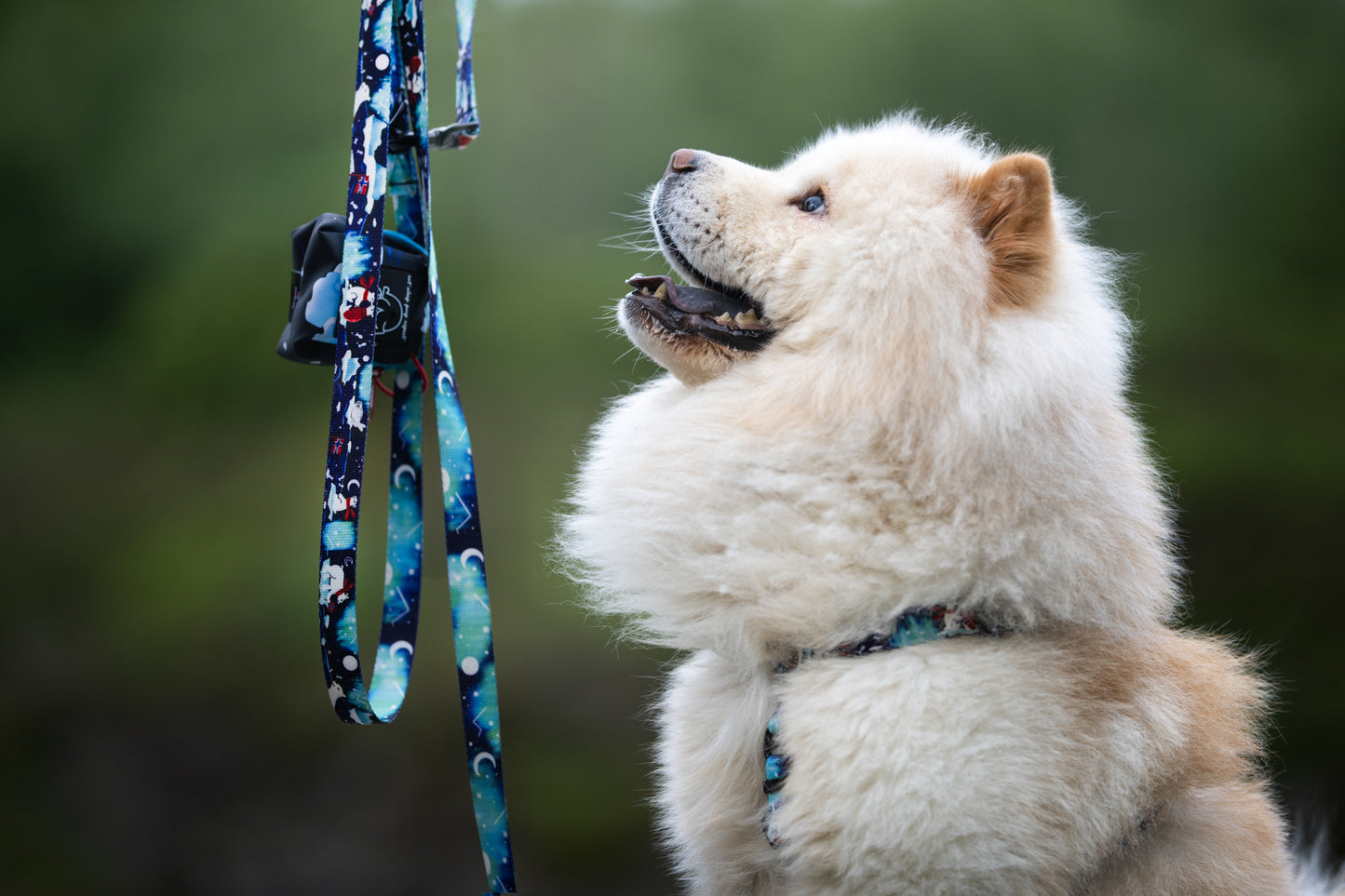 Bybånd „Aurora Polarbears”