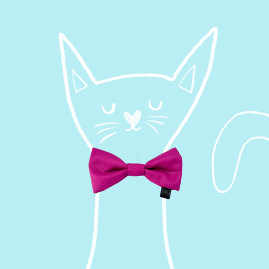 Bow for cat „Purple"