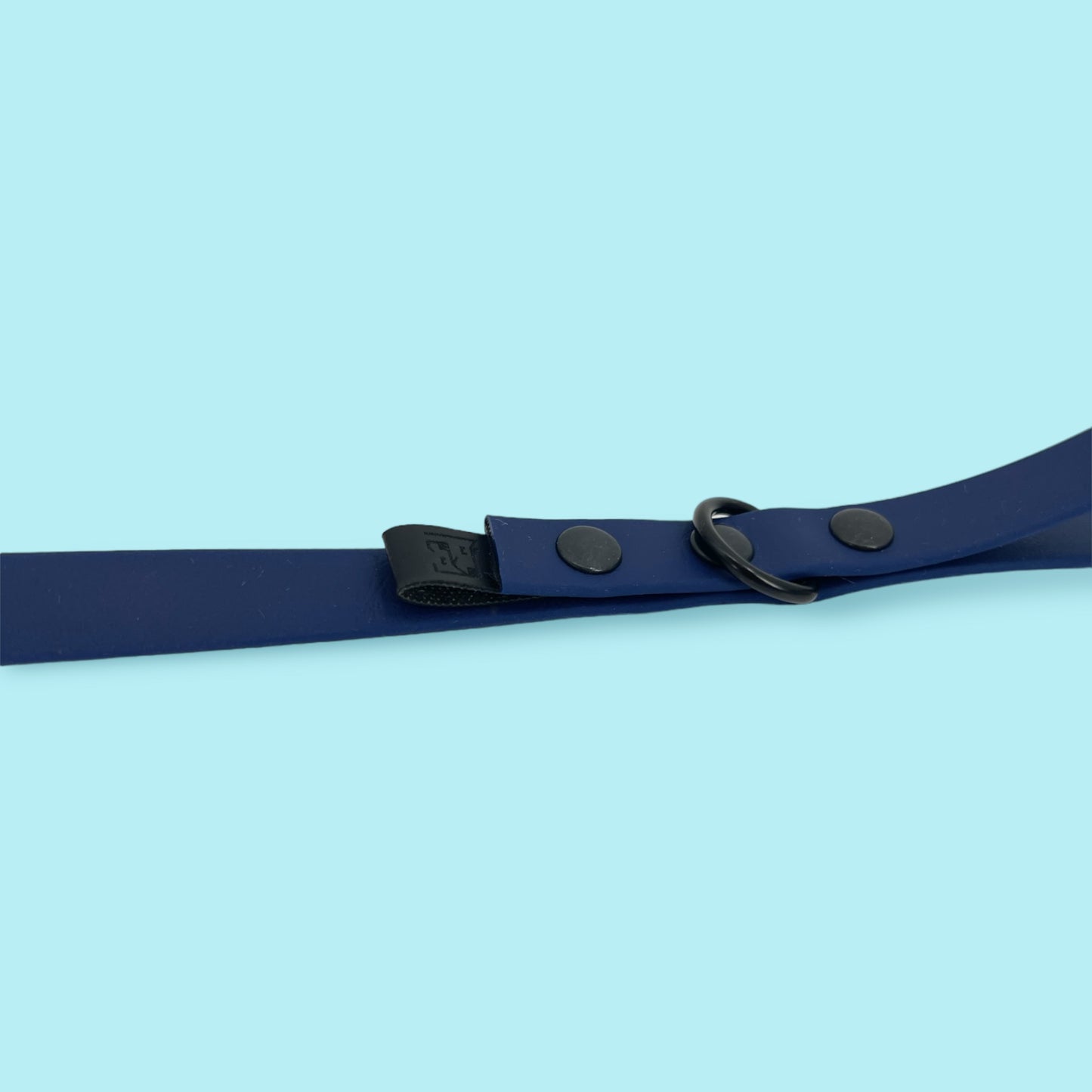 Dog leash BIOTHANE® „Ocean"