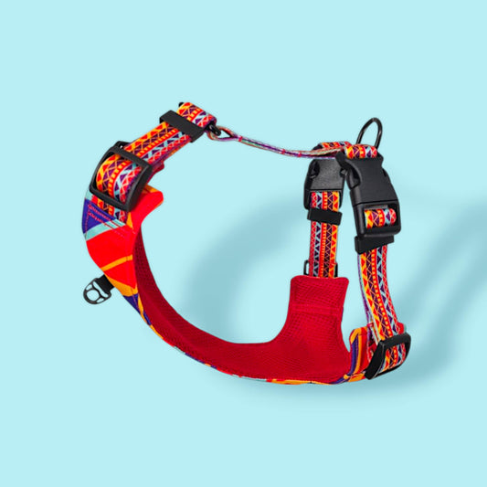 Pressure-free harness Evendyr COMFORT „Liker du ikke taco?"
